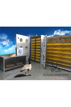 KAZ KULUÇKA MAKİNASI 750 GELİŞİM 750 ÇIKIM KOMBİNE 2YIL GARANTİ…