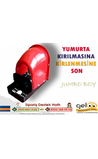 HOBİ TAVUK FOLLUK JUMBO BOY