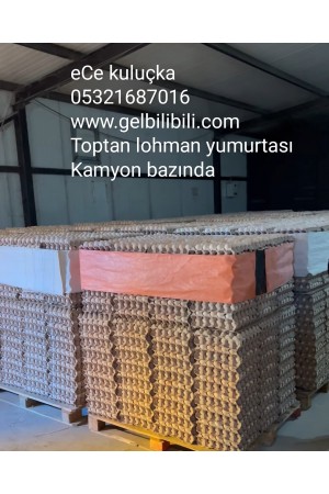 Toptan lohman Gezen Tavuk Yumurtası bilibili yumurta…